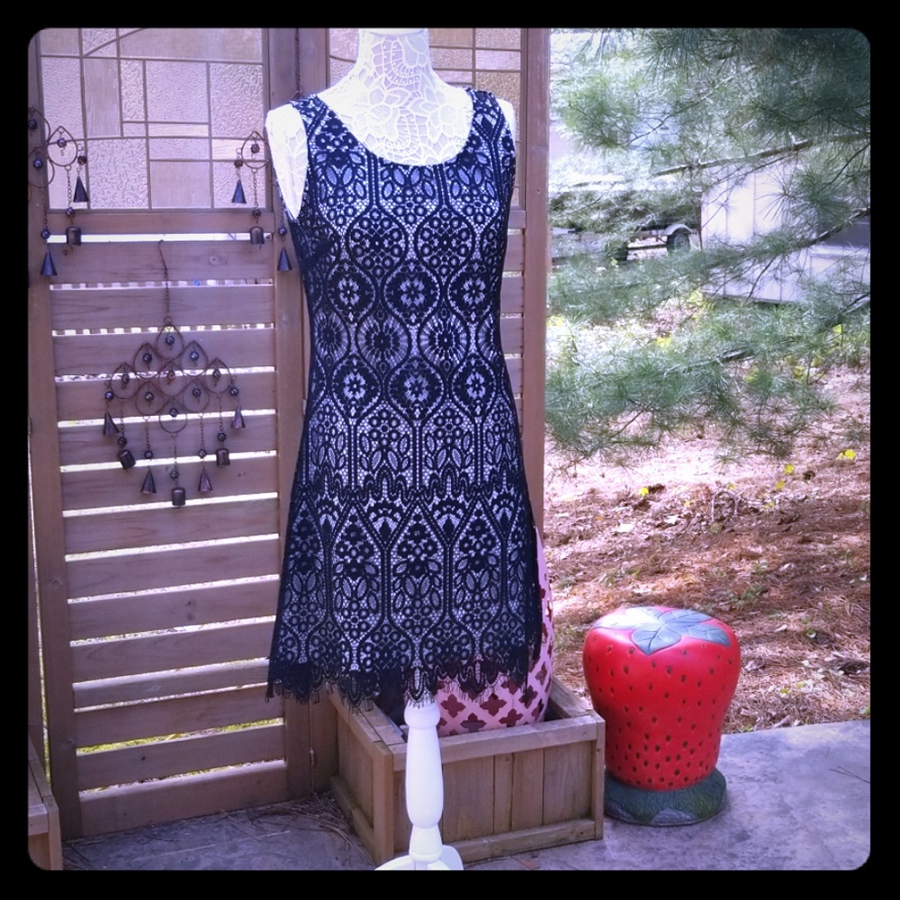 Miss Pinky black and white lace dress